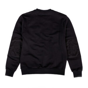 Hagley Black Back